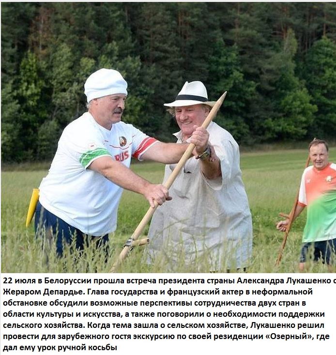 Сенокос