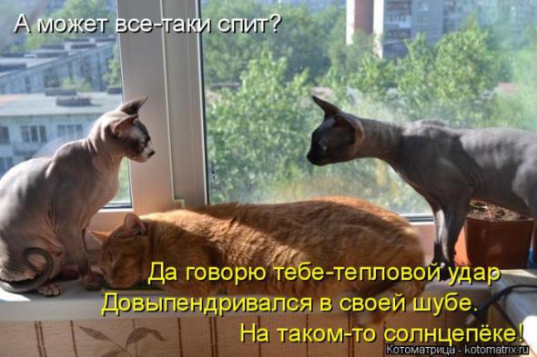 5180aeff7917029f3fa542fd212 prev