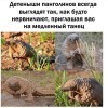 Детеныши нервничают Детеныши нервничают