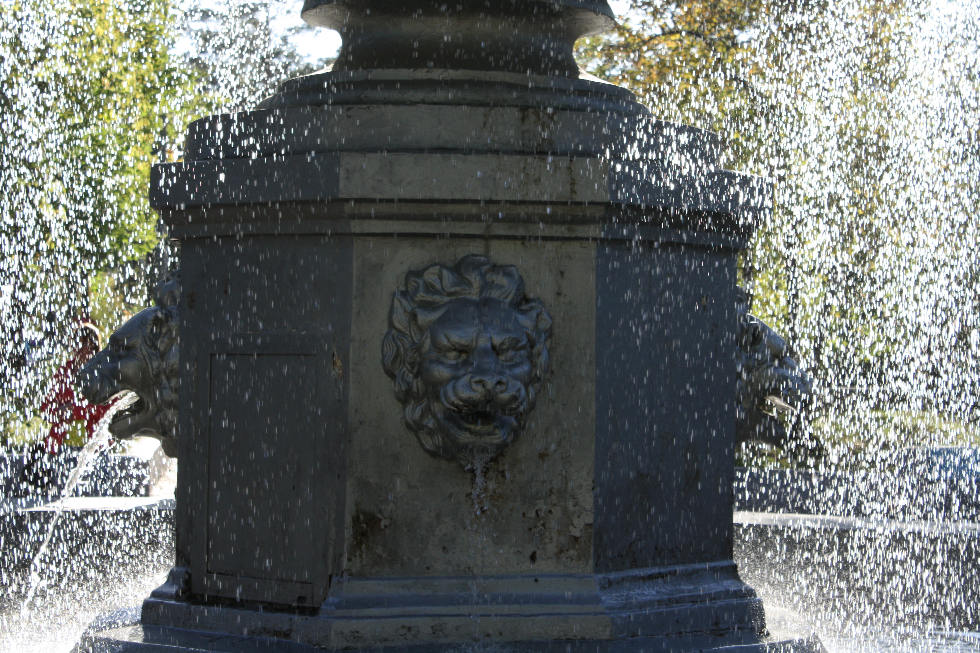 солнечный дождь