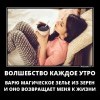 Волшебство каждое утро Волшебство каждое утро