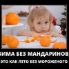Зима без мандаринов Зима без мандаринов