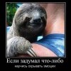 Научись скрывать эмоции Научись скрывать эмоции