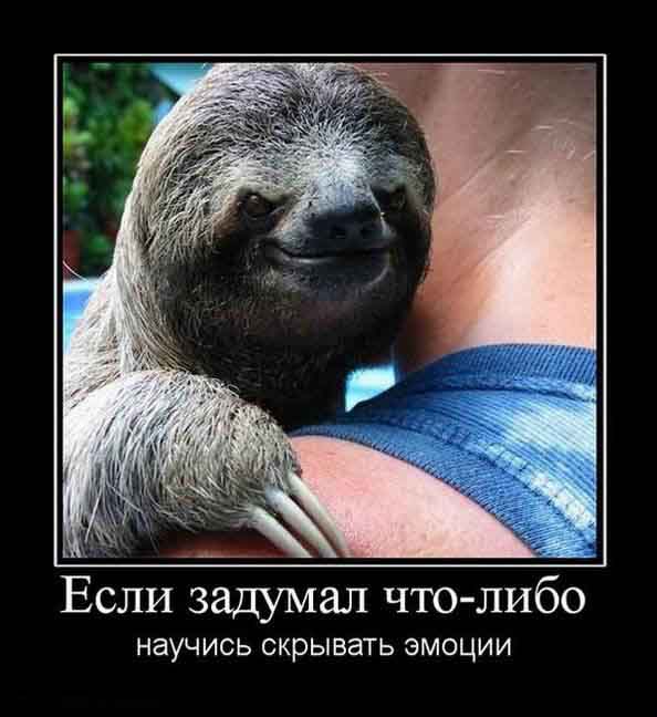 Научись скрывать эмоции