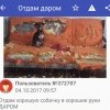 Отдам даром Отдам даром