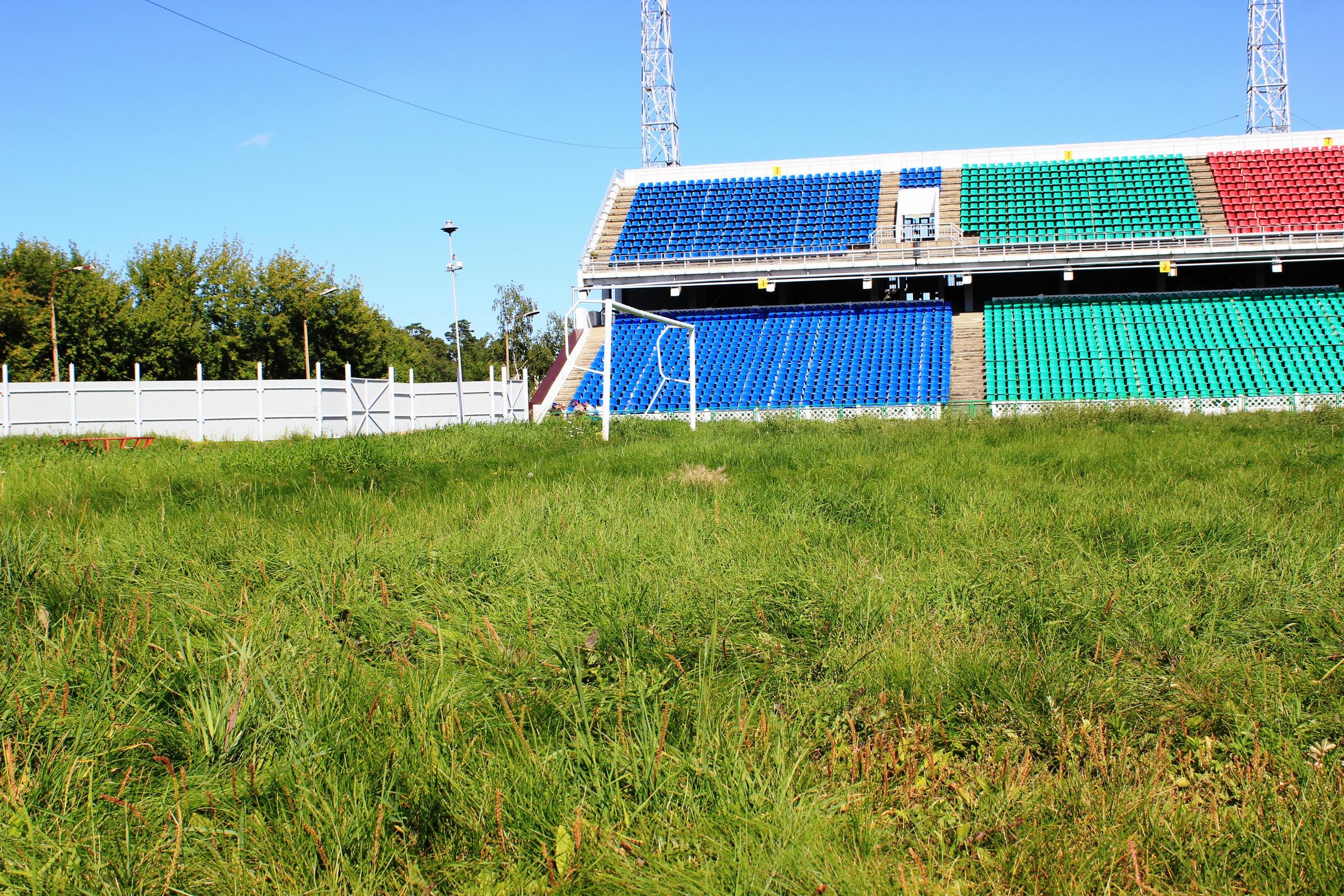 11. Для завершения пейзажа не хватает пасущихся коров ))