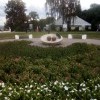 В Сочи вишни хороши, а во Владимире больше В Сочи вишни хороши, а во Владимире больше