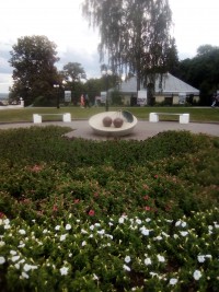 В Сочи вишни хороши,  а во Владимире больше