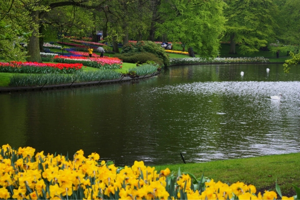 Кекенхоф парк