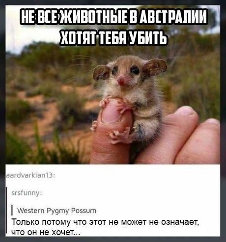 Зверушка