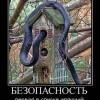 Безопасность Безопасность