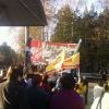 митинг против вырубки деревьев митинг против вырубки деревьев