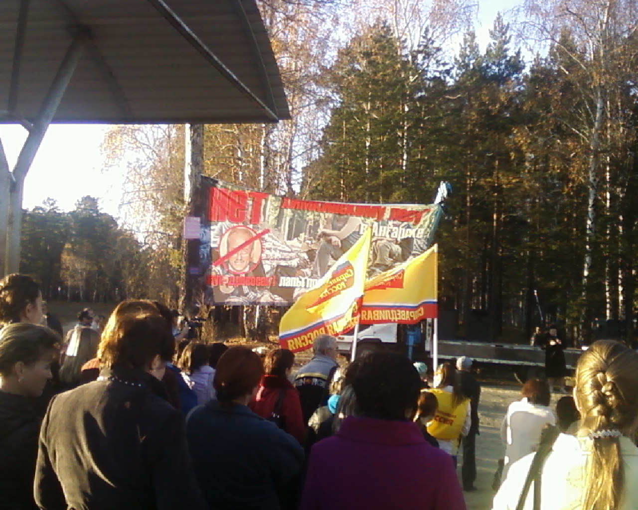 митинг против вырубки деревьев