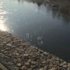 Ладушки Ладушки