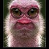 GetImage GetImage