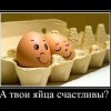 а тваи йайца щаслиф?)))))