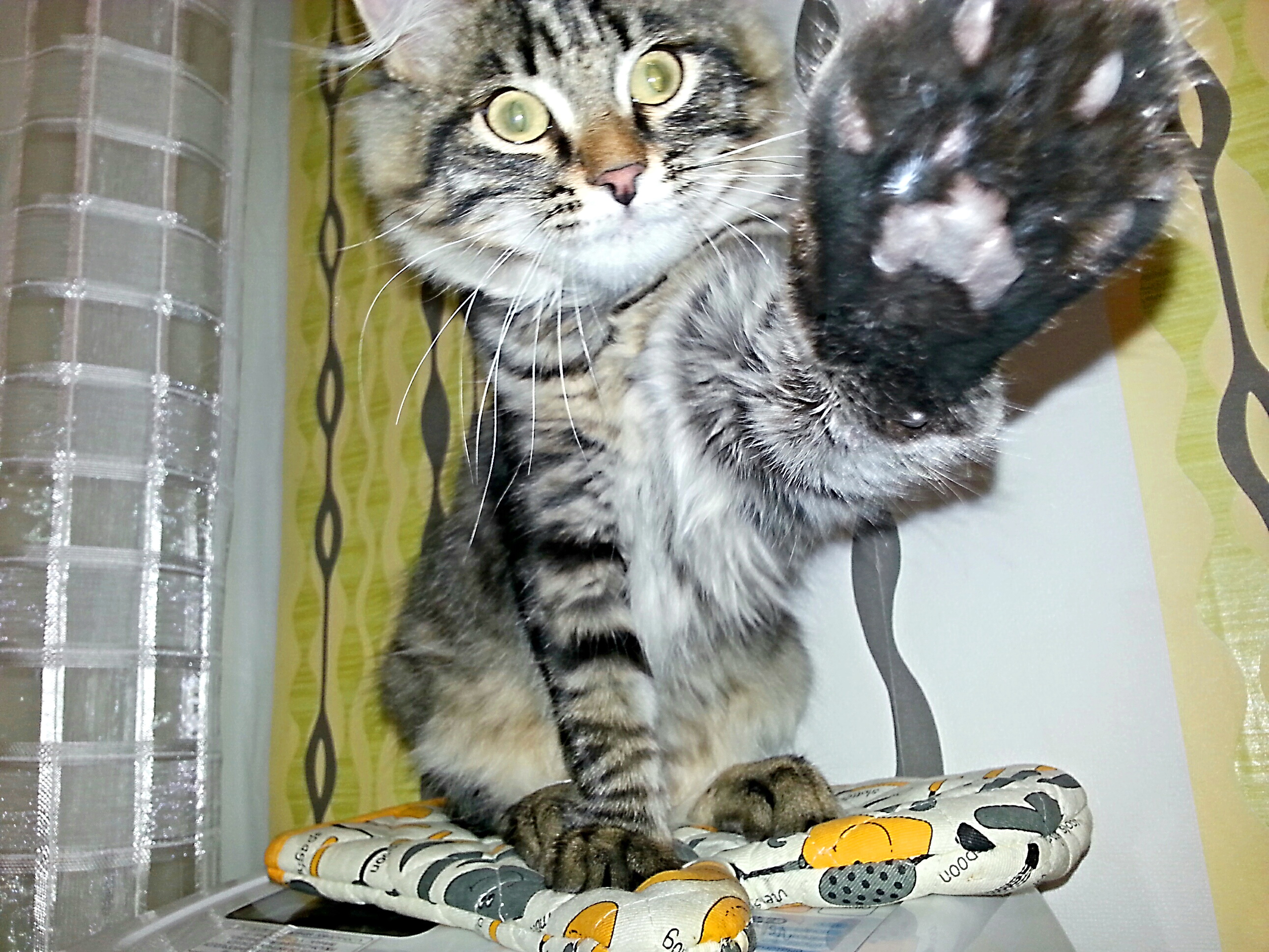 дай фокус подправлю)))))