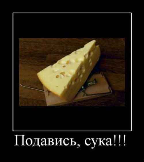 Подавись
