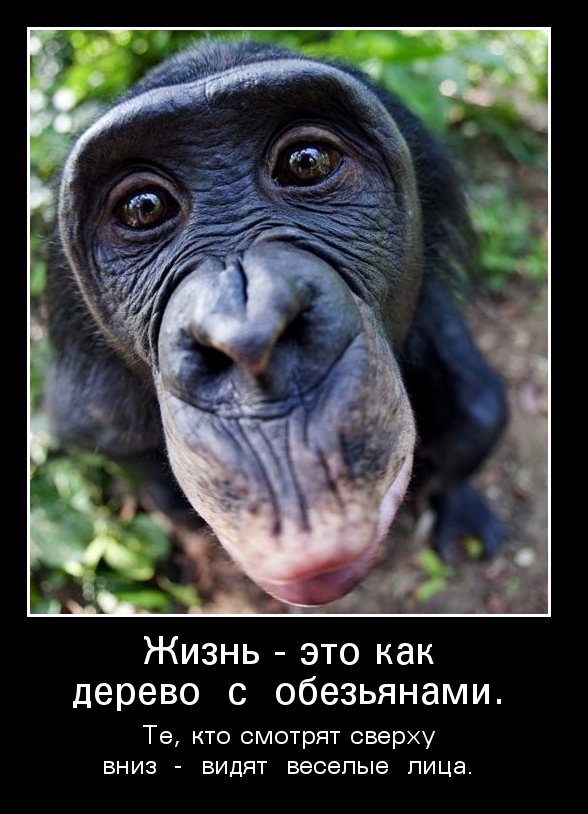 Взгляд сверху-вниз