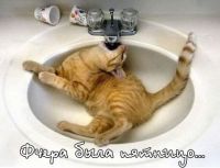 Я с утра сиводня в панидельнек))))) Я с утра сиводня в панидельнек)))))