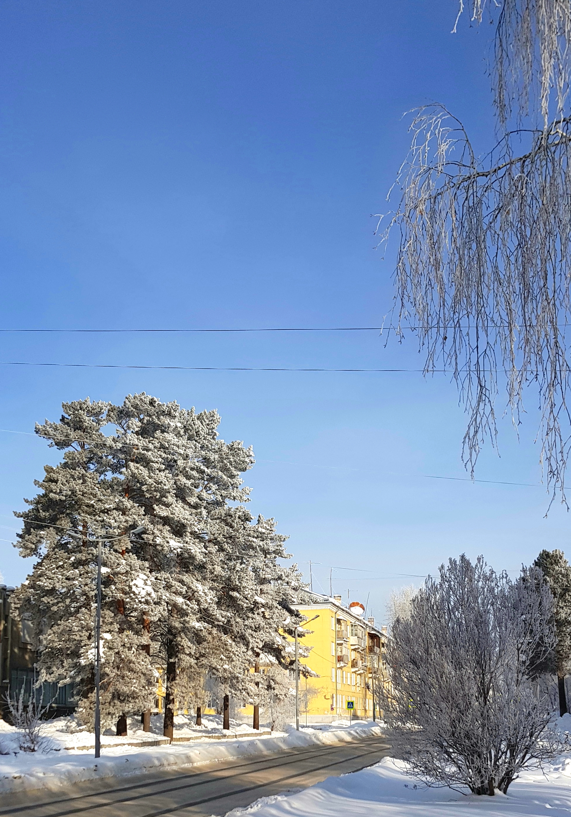 Фестивальная январь 2018