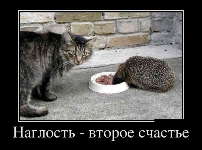 Наглость