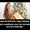 Встретить год собаки Встретить год собаки