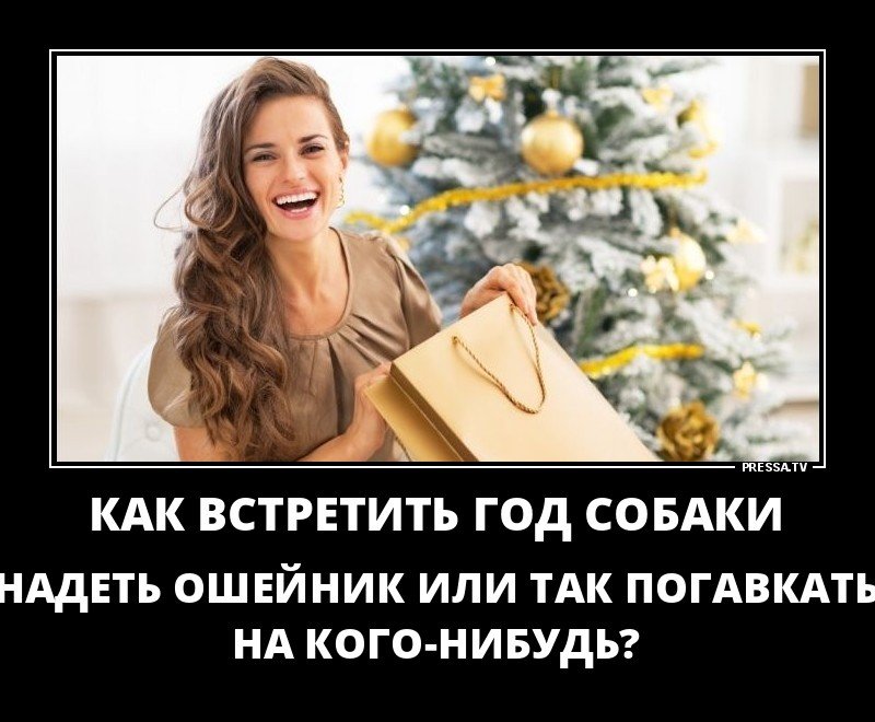 Встретить год собаки