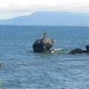 Камень "Черепаха"