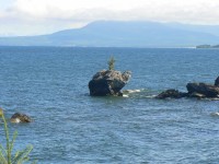 Камень "Черепаха"