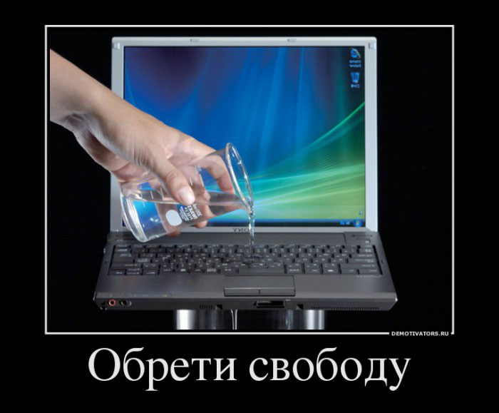 Обрести свободу