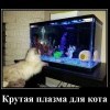 Крутая плазма