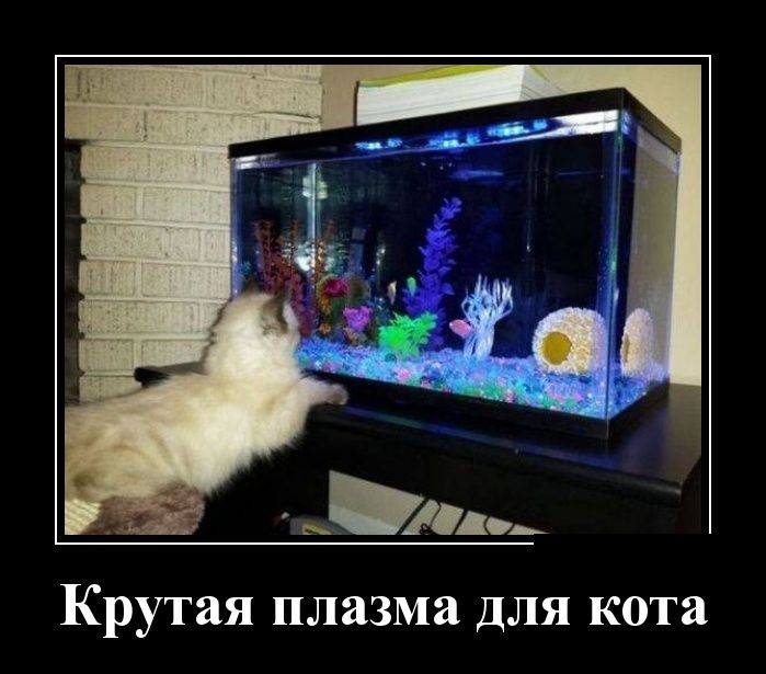 Крутая плазма