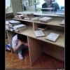 Довела