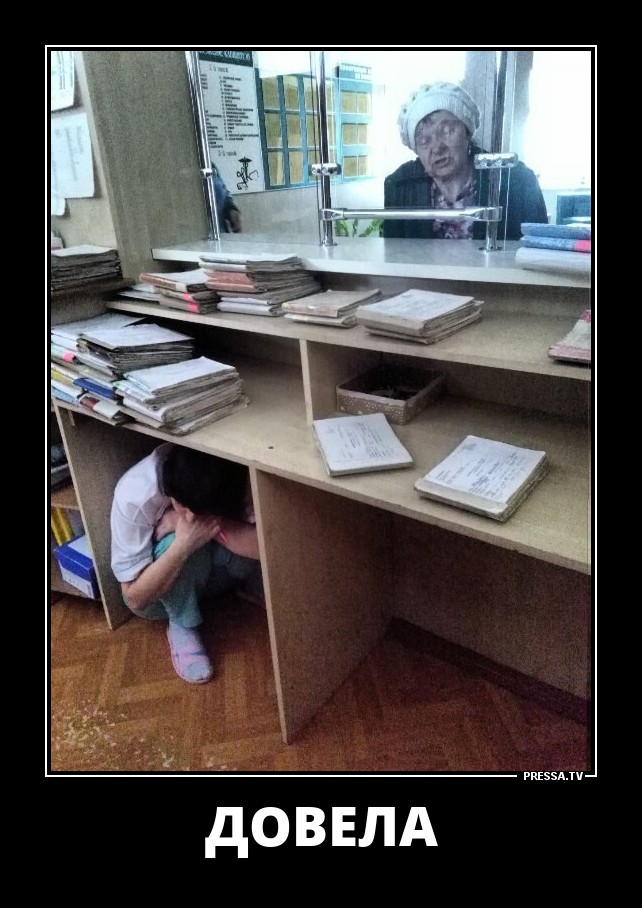 Довела