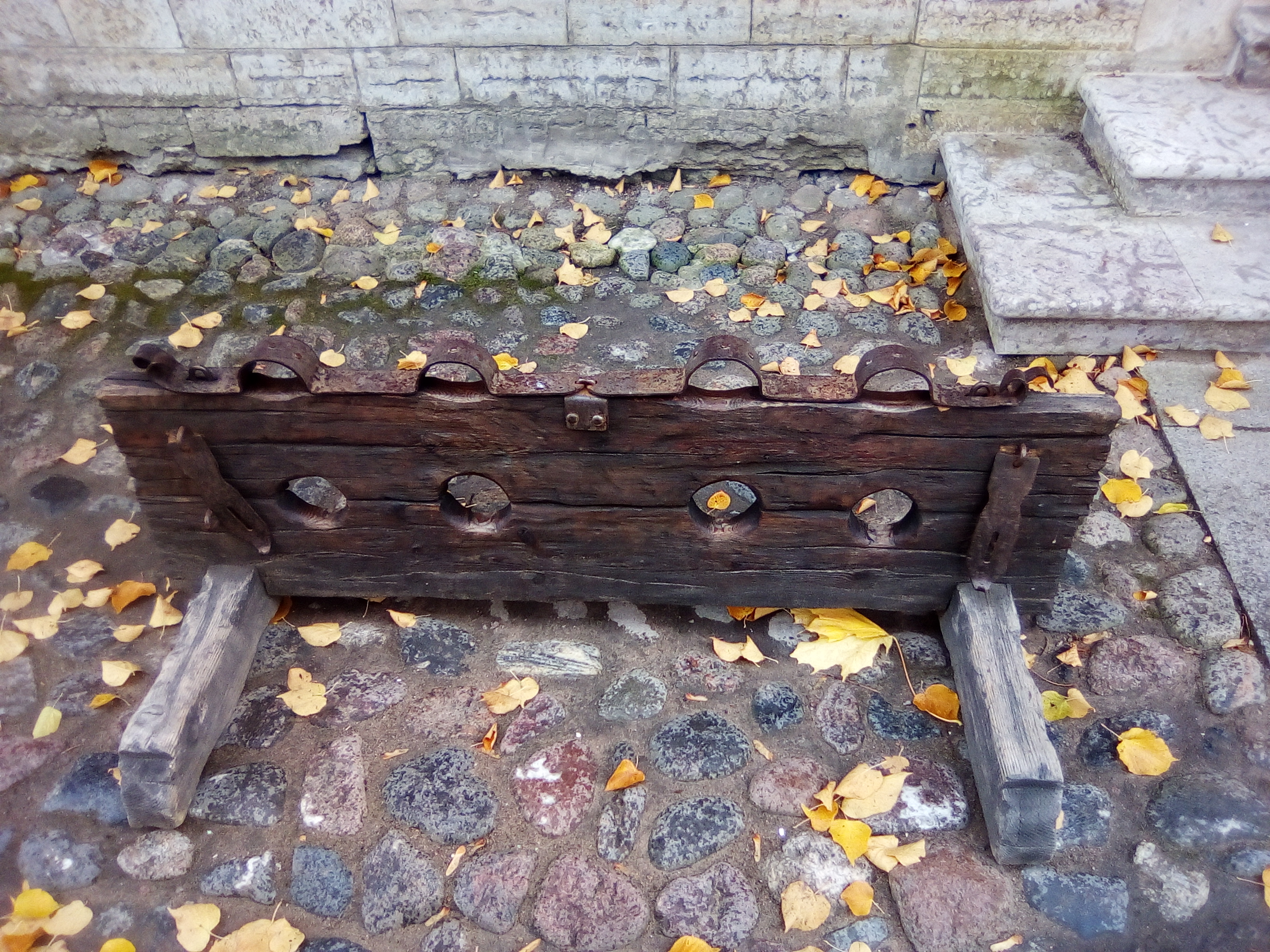 Без названия.