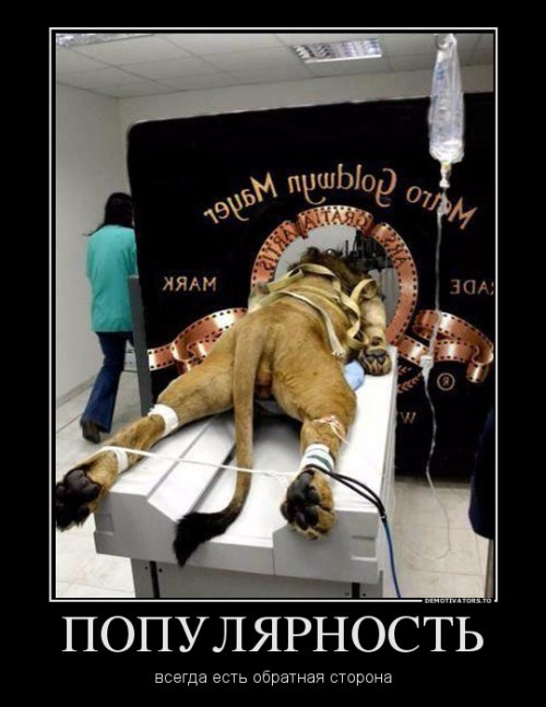 Популярность
