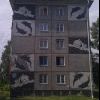Люблю дельфинов)))))