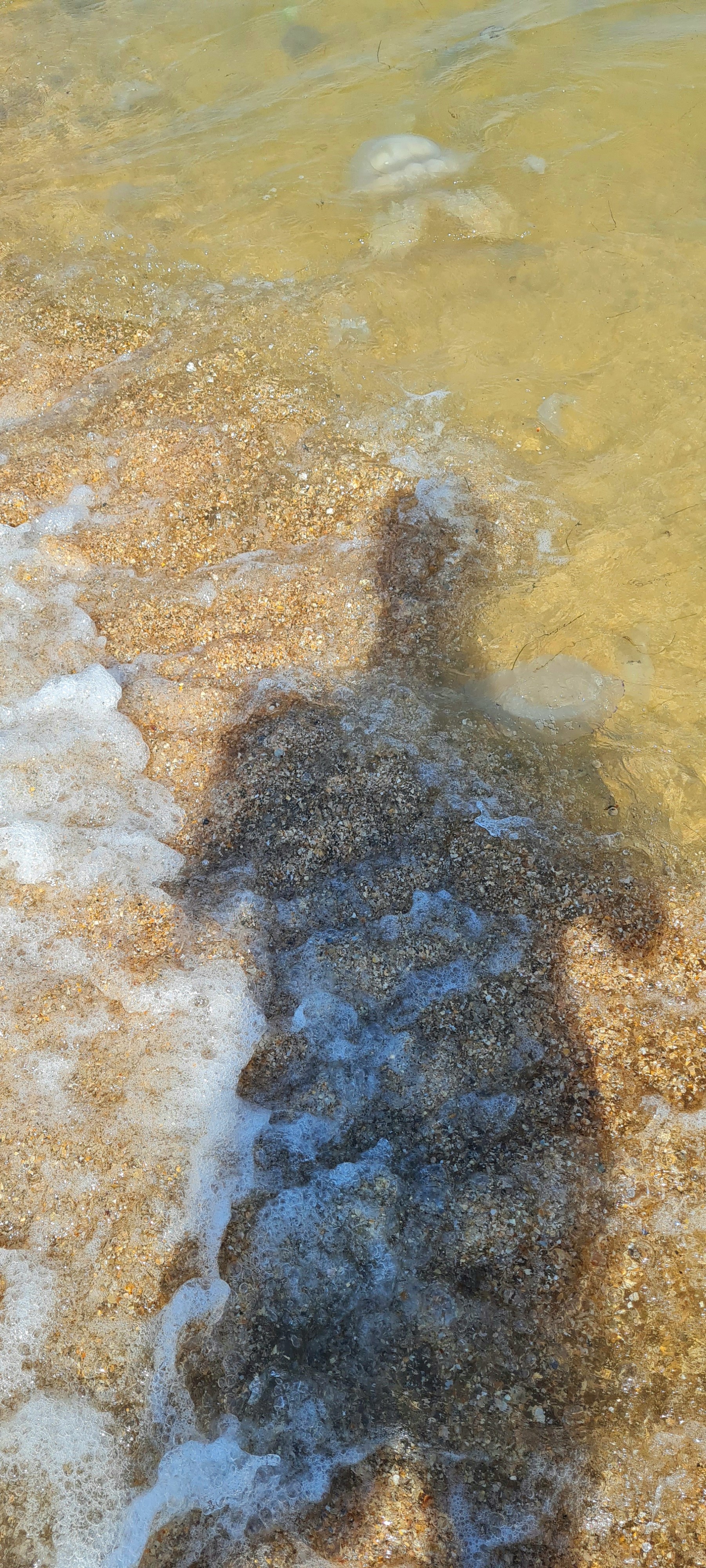 Отмедуженный))))))