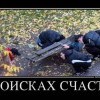 Потерянное счастье