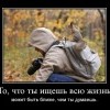 В поиске