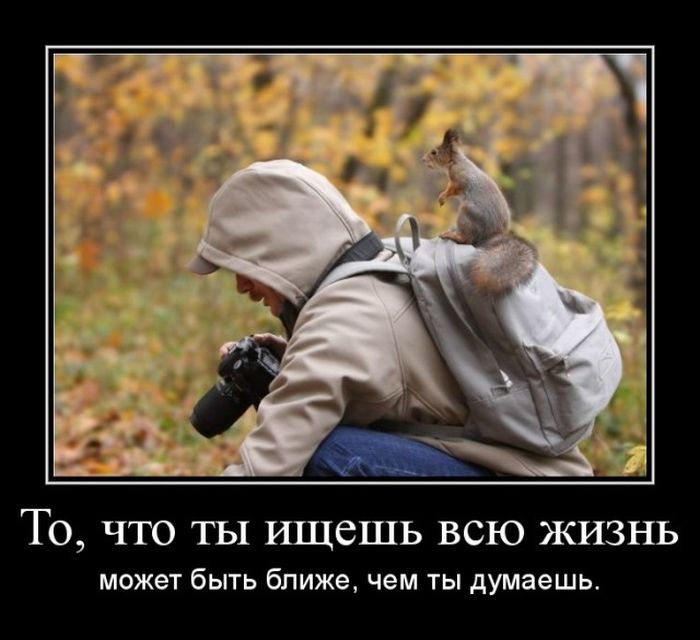 В поиске