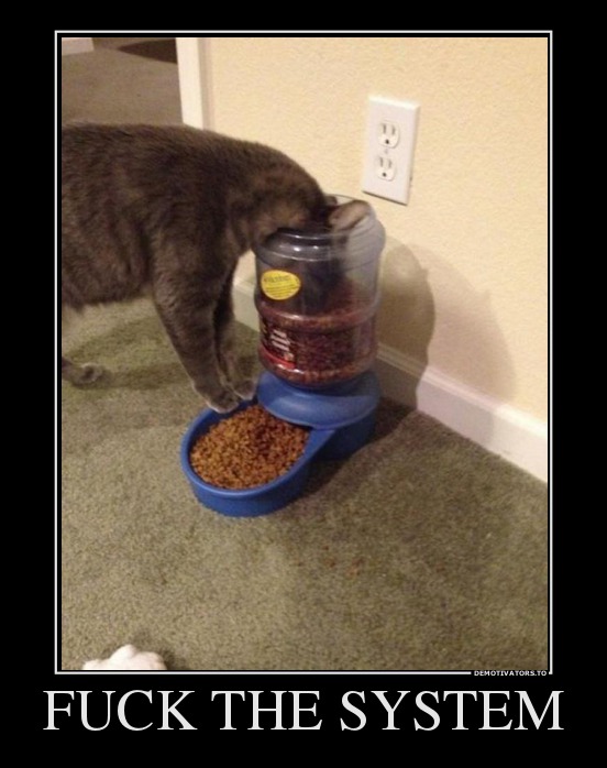 94556974 fuck-the-system