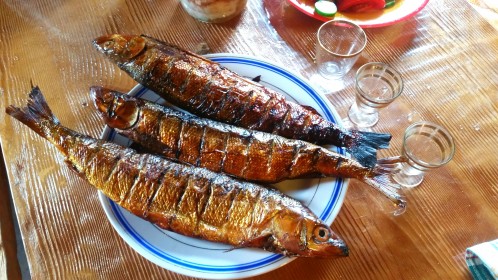 омулёг капчоный))))