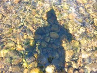 Сирёгина тень воднокаменоглубокая)))))