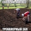 Тренажерный зал Тренажерный зал