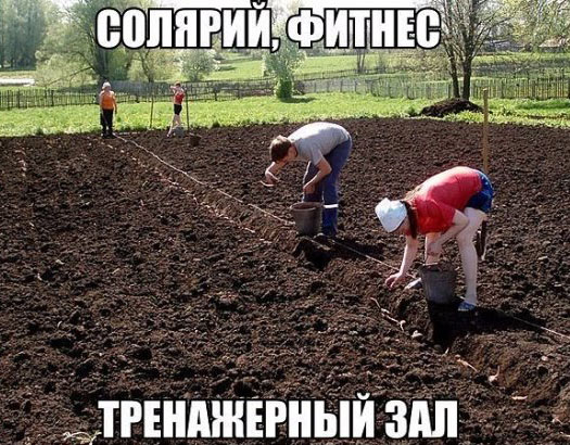 Тренажерный зал