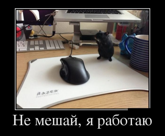 Не мешай