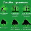 0ac5fa7cbb843157e925e1dea64 prev