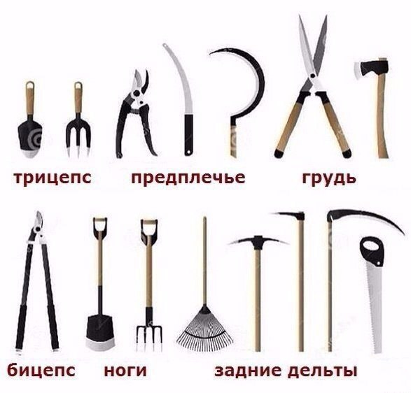 F088f1c792bb9894122cf158bb8